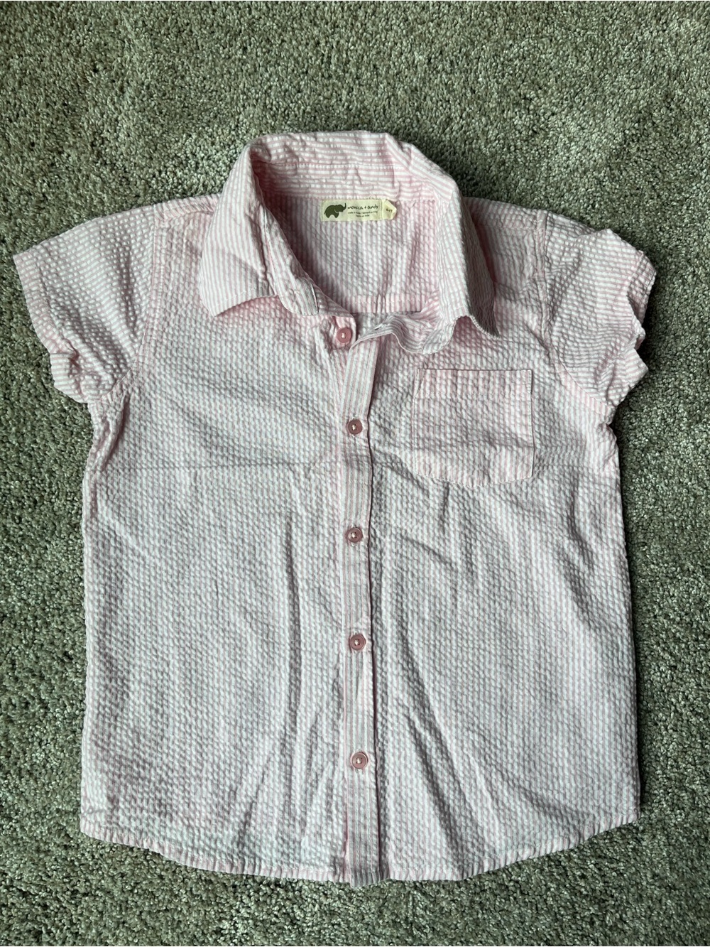 Monica & Andy Seersucker Button Down